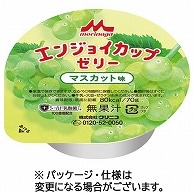 森永乳業クリニコ エンジョイ カップゼリー マスカット味 70g 24個/袋 ※軽（ご注文単位1袋）【直送品】