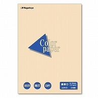 長門屋商店 Color Paper A3 最厚口 アイボリー ナ-1515 25枚/冊（ご注文単位1冊）【直送品】