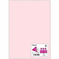 長門屋商店 Color Paper A5 中厚口 さくら ナ-5219 100枚/冊（ご注文単位1冊）【直送品】