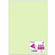 長門屋商店 Color Paper A5 中厚口 若草 ナ-5206 100枚/冊（ご注文単位1冊）【直送品】