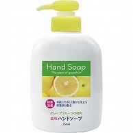 第一石鹸 薬用ハンドソープ 本体 250ml 24個/セット（ご注文単位1セット）【直送品】