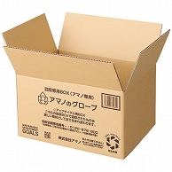 アマノ 回収専用BOX(アマノ専用) 小サイズ AM-CF999 1パック（ご注文単位1パック）【直送品】