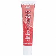 コニシ ボンド 裁ほう上手 17g #05476 1個（ご注文単位1個）【直送品】