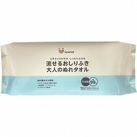 昭和紙工 流せるおしりふき 大人のぬれタオル 2160枚/袋（ご注文単位1袋）【直送品】