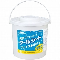 サラヤ フェイス&ボディ用クールシート クールリフレ 本体 70枚 1個（ご注文単位1個）【直送品】