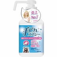 健栄製薬 手ピカスプレー 本体 420ml 1本（ご注文単位1本）【直送品】