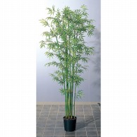 アスカ商会 造花・観葉植物 A-56005バンブーツリーS #051A　グリ-ン　ポット付 1本（ご注文単位1本）【直送品】