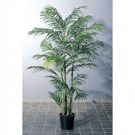 アスカ商会 造花・観葉植物 A-56009アレカパームS #051A　グリ-ン　ポット付 1本（ご注文単位1本）【直送品】