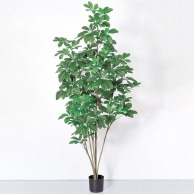 アスカ商会 造花・観葉植物 A-50859　シェフレラ #051A　グリ-ン　ポット付 1本（ご注文単位1本）【直送品】