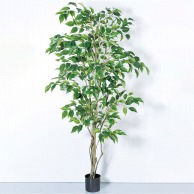 アスカ商会 造花・観葉植物 A-50858ファイカスツリー #051A　グリ-ン　ポット付 1本（ご注文単位1本）【直送品】