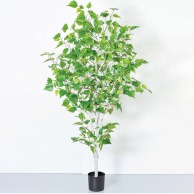 アスカ商会 造花・観葉植物 A-50857　バーチツリー #051A　グリ-ン　ポット付 1本（ご注文単位1本）【直送品】