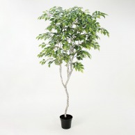 アスカ商会 造花・観葉植物 A-50881ファイカスツリー #051A　グリ-ン　ポット付 1本（ご注文単位1本）【直送品】