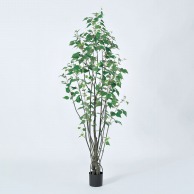 アスカ商会 造花・観葉植物 A-50939　バーチツリー #051A　グリ-ン　ポット付 1本（ご注文単位1本）【直送品】