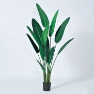 アスカ商会 造花・観葉植物 A-50950　トラベルパーム #051A　グリ-ン　ポット付 1本（ご注文単位1本）【直送品】