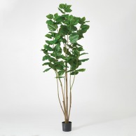 アスカ商会 造花・観葉植物 A-51029　ウンベラータ #051A　グリ-ン　ポット付 1本（ご注文単位1本）【直送品】