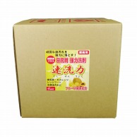 友和 厨房用洗剤　速洗力 20L レギュラー 1本（ご注文単位1本）【直送品】