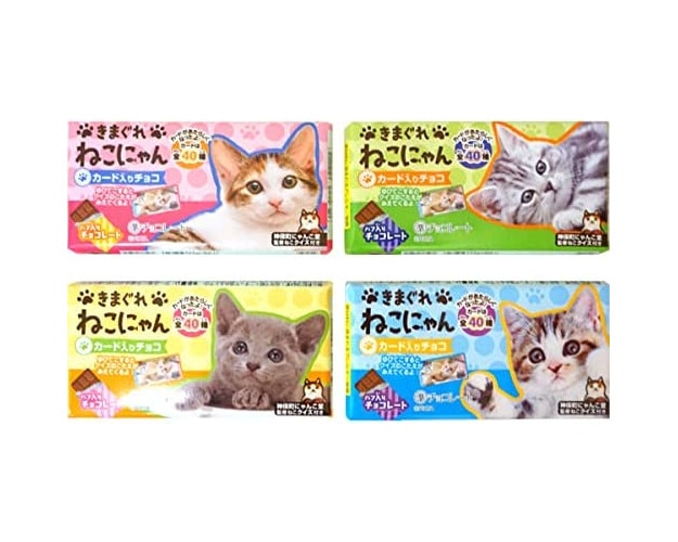 正栄デリシイきまぐれねこにゃん1枚※軽（ご注文単位20個）【直送品】