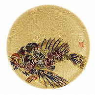 福井クラフト 耐熱φ150寿司皿　ゴールドパール　千代紙　魚拓 オコゼ 13000075 1個（ご注文単位1個）【直送品】