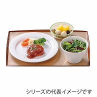 福井クラフト 長角トレー　尺3　布目わたらせ盆 銀透き渕べっ甲SL 15003420 1枚（ご注文単位1枚）【直送品】