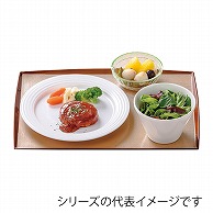 福井クラフト 長角トレー　尺5　布目わたらせ盆 銀透き渕べっ甲SL 15003440 1枚（ご注文単位1枚）【直送品】