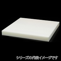 福井クラフト 座布団　中身 EGウレタン　55×59用 80518050 1枚（ご注文単位1枚）【直送品】