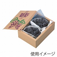 ヤマニパッケージ ぶどう　サービス箱  L-2042　10枚/束（ご注文単位10束）【直送品】