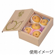 ヤマニパッケージ 梨　サービス箱  L-2051　10枚/束（ご注文単位10束）【直送品】