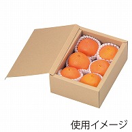 ヤマニパッケージ フルーツ箱　サービス無地  L-2091　10枚/束（ご注文単位10束）【直送品】