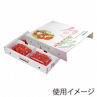 ギフト箱　旬彩ドオム 200g×4P ARL-33 50枚/束（ご注文単位1束）【直送品】