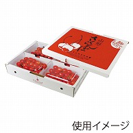 ギフト箱　さくらんぼ　山形 200g×4P ARL-35 50枚/束（ご注文単位1束）【直送品】