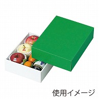 ギフト箱　グリーンBOX 小 L-78-2 25枚/束（ご注文単位2束）【直送品】