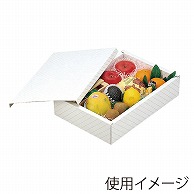 サービス箱　金線 大 L-90 25枚/束（ご注文単位2束）【直送品】