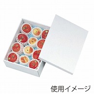 ギフト箱　お値打ちBOX ホワイト　大 L-178 50枚/束（ご注文単位1束）【直送品】