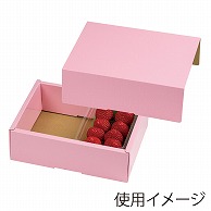 ギフト箱　フレッシュフルーツピンク  L-251 10枚/束（ご注文単位10束）【直送品】