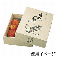 ギフト箱　果林の詩  L-293 10枚/束（ご注文単位4束）【直送品】