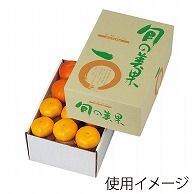 ギフト箱　旬の美果 5kg L-341 10枚/束（ご注文単位4束）【直送品】