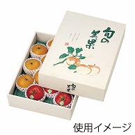 ギフト箱　旬の美果 大 L-349 10枚/束（ご注文単位3束）【直送品】