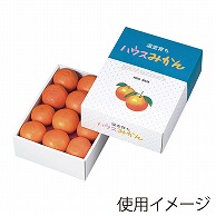 ギフト箱　ハウスみかん 2段 L-400 10枚/束（ご注文単位6束）【直送品】