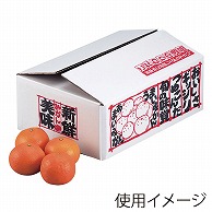 ギフト箱　新鮮みかん 5kg L-426 10枚/束（ご注文単位6束）【直送品】