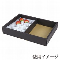 いちごホールトレー箱　イチゴクッション用 2P L-446 50枚/束（ご注文単位1束）【直送品】