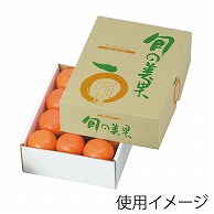 ギフト箱　旬の美果 小 L-2098 10枚/束（ご注文単位5束）【直送品】