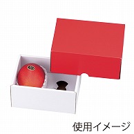 ギフト箱　ロイヤルハーフレッドBOX  L-2163 10枚/束（ご注文単位10束）【直送品】