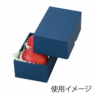 ギフト箱　マンゴー2ヶ ネイビー L-2238 10枚/束（ご注文単位10束）【直送品】