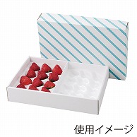 いちごホールトレー箱　イチゴクッション2Pカブセ箱  L-2251 25枚/束（ご注文単位2束）【直送品】