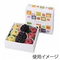 ギフト箱　ナチュラルフルーツ 290角 L-2253 10枚/束（ご注文単位5束）【直送品】