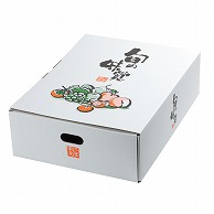 ギフト箱　四季果実 大 L-2276 10枚/束（ご注文単位4束）【直送品】