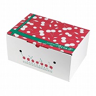 ギフト箱　さくらんぼ　2段BOX  L-2497 25枚/束（ご注文単位2束）【直送品】