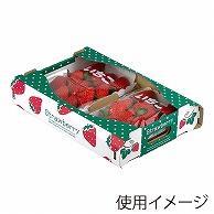 ギフト箱　ストロベリーボックス 平250g　小 L-2506 10枚/束（ご注文単位10束）【直送品】