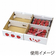 ギフト箱　イラストいちご平詰め 250g4P　セパレート L-2514 20枚/束（ご注文単位4束）【直送品】