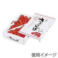 ギフト箱　さくらんぼバラ詰 1kg　山形 L-8101 25枚/束（ご注文単位4束）【直送品】